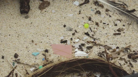 Beach with Plastic and Microplastic Pollution on Floreana Island, Galapagos Stock Footage 141734259