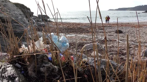Beach with plastic in the foreground Stock Footage 103426609