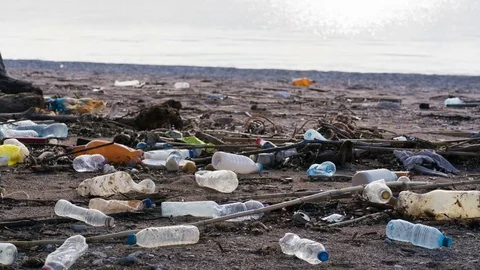 Beach polluted with plastic bottles 库存影片 83713072
