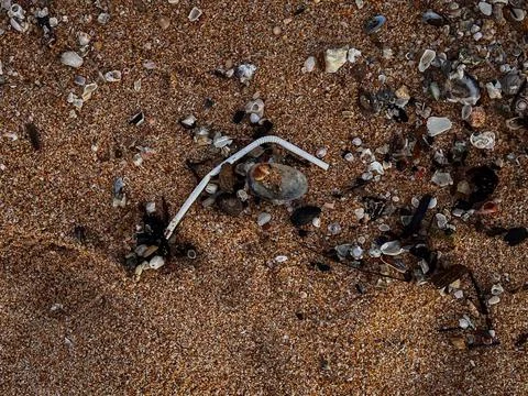 Beach polluted with plastic waste.environmental problems of humanity Stock Photos