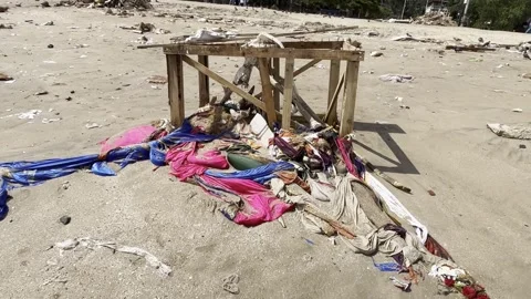 Beach Pollution After Idol Immersion Showing Litter and Habitat Destruction Stock Footage 316809426