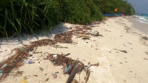 Beach pollution Stock Footage 276364357