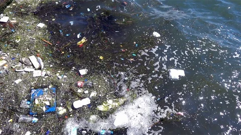 Beach Pollution Garbage Stock Footage 128780236