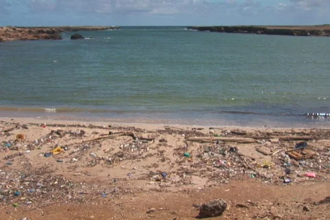 Beach with pollution - NTSC DV Stock Footage 92162