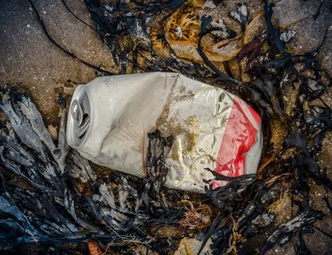 Beach pollution Foto stock