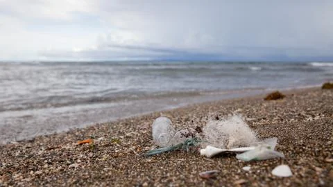 Beach pollution. Plastic bottles and other trash on sea beach. Ocean pollutio Stock Photos