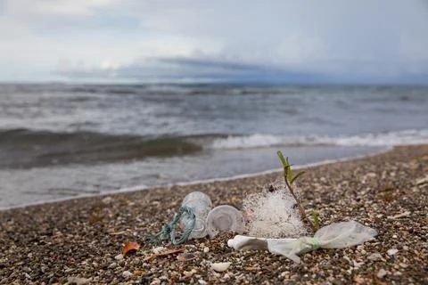 Beach pollution. Plastic bottles and other trash on sea beach. Ocean pollutio Stock Photos