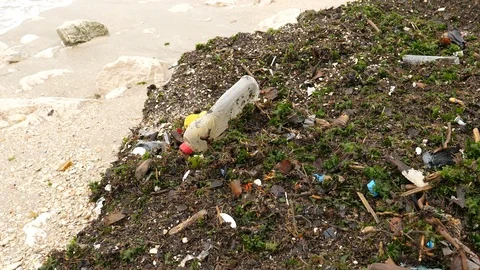 Beach pollution by plastic rubbish Stock Footage 86191361