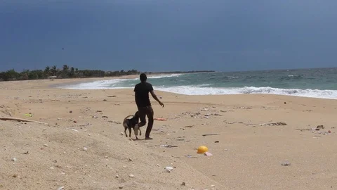 Beach pollution.Environmental pollution. Stock Footage 102573920