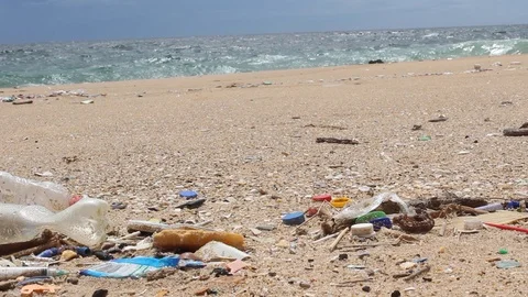 Beach pollution.Environmental pollution. Stock Footage 102578386