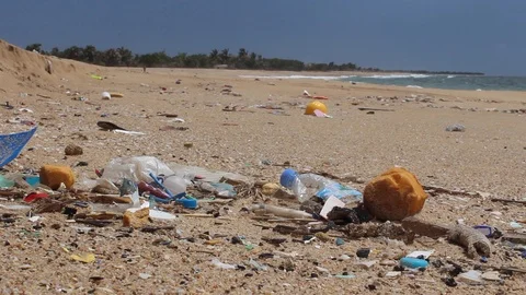 Beach pollution.Environmental pollution. Stock Footage 102579187