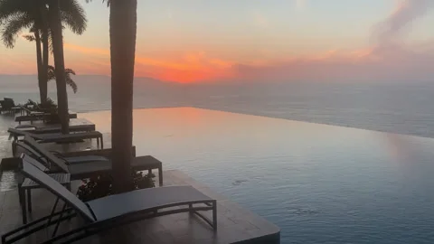 Beach Pool Palm Tree Sunset HD- Stock Footage 175368216