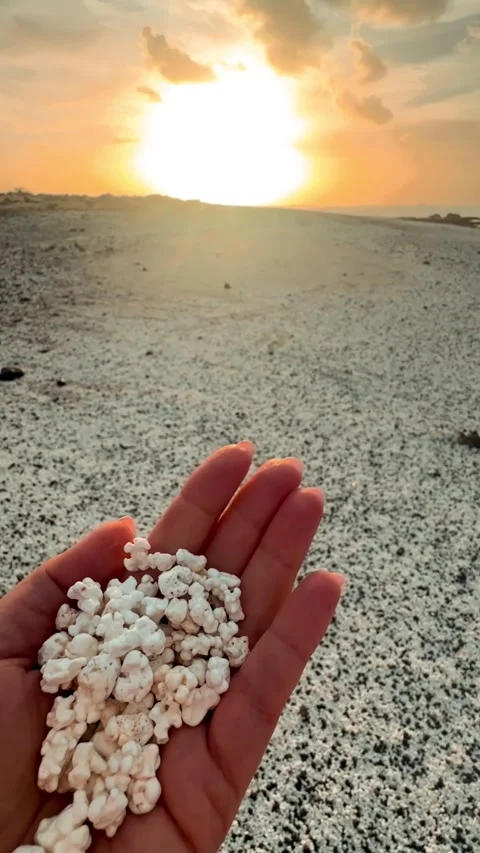 A beach with popcorn-like sand Видео 338133209