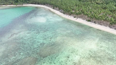 Beach (Port Barton - Philippines) Stock Footage 278231950
