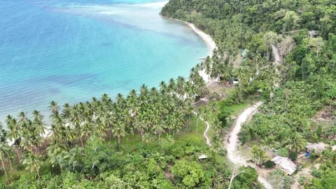 Beach (Port Barton - Philippines) Stock Footage 278231999