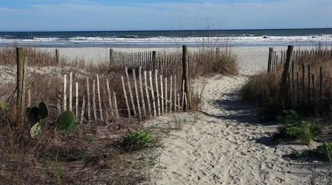 Beach protection Stock Footage 49227916