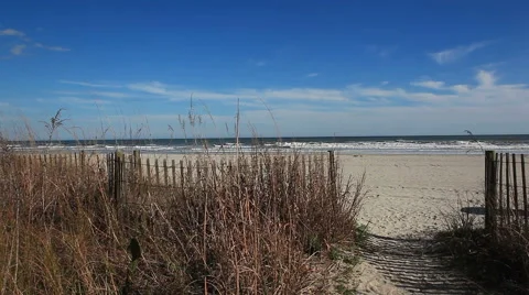 Beach protection Stock Footage 49227940