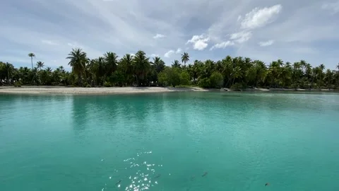 Beach in Rangiroa Stockbeeldmateriaal 344427654
