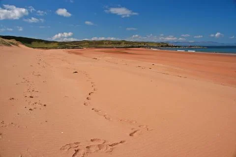 Beach Redpoint 写真素材