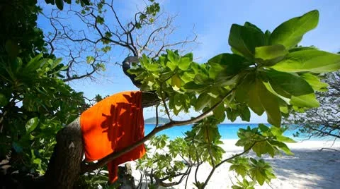 Beach resort 17 Stock Footage 10803258