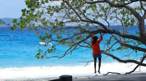 Beach resort 19 Stock-Footage 10803284