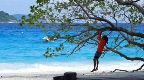 Beach resort 20 Stock-Footage 10803313