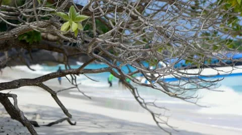 Beach resort 22 Stock Footage 10803339