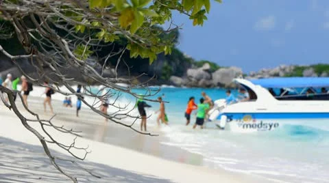 Beach resort 23 Stock Footage 10803348