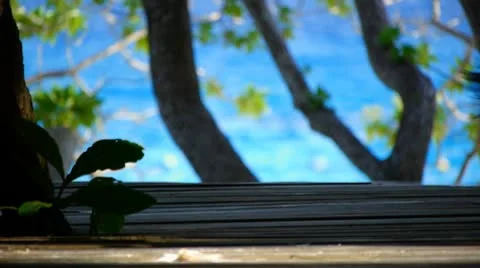 Beach resort 26 動画素材 10803361