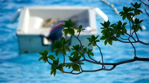 Beach resort 27 動画素材 10803370