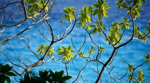 Beach resort 28 Stock Footage 10803377