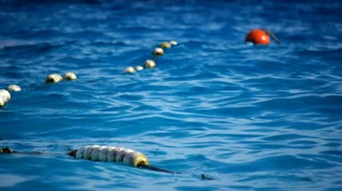 Beach resort 31 動画素材 10803407