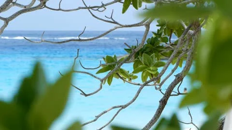 Beach resort 8 動画素材 10803165