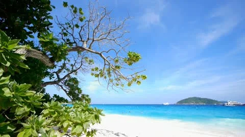 Beach resort loop 3 Stock Footage 10803447