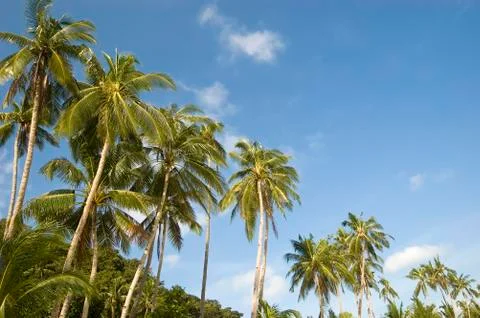 Beach resort Stock Photos