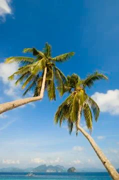 Beach resort Stock Photos