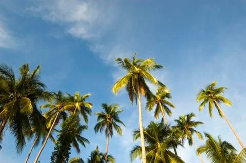 Beach resort Foto stock