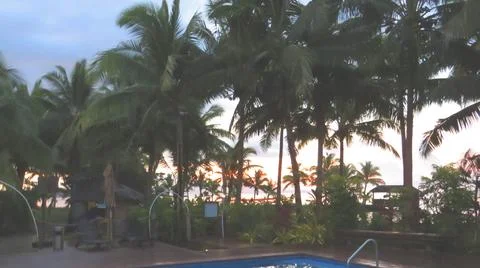 Beach Resort Pool Deck Framed by Palm Trees at Golden Sunset Stock Photos