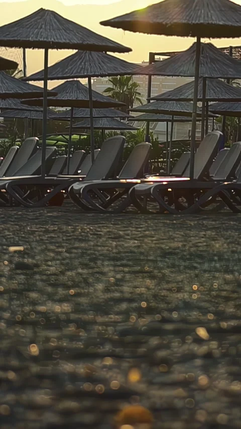 Beach resort scene with rows of empty sun loungers and straw umbrellas lining Stock Footage 330232836