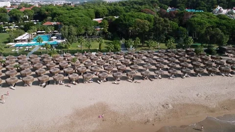 Beach Resort with Straw Umbrellas and Pool Surrounded by Trees Stock Footage 296514229