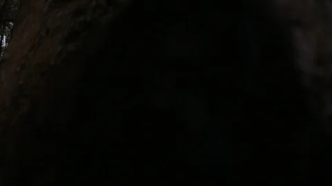 Beach Reveal 2 Stock Footage 104713113