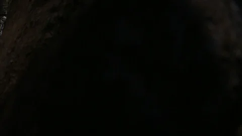 Beach Reveal Stock Footage 104713108