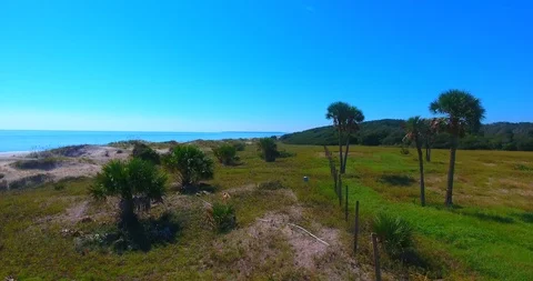 Beach Reveal Stockbeeldmateriaal 106895462