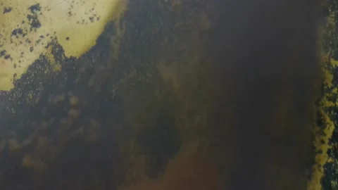 Beach reveal 스톡 동영상 152965693