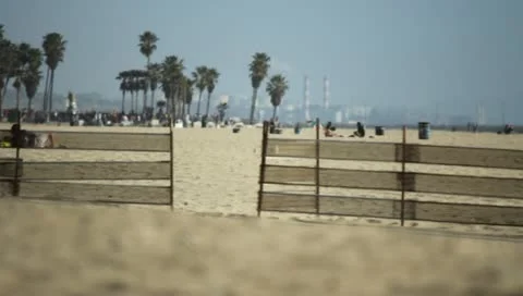Beach Riders Stock Footage 11360122