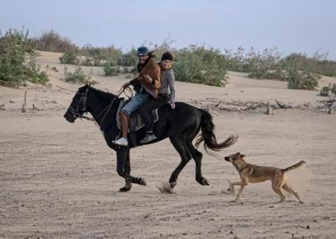 Beach riding Stock Photos