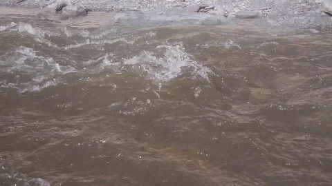 Beach River 2 Stock Footage 81361054