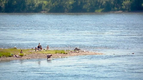 Beach on the River Stock Footage 40259841