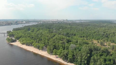 Beach River Forest Stock Footage 156647590