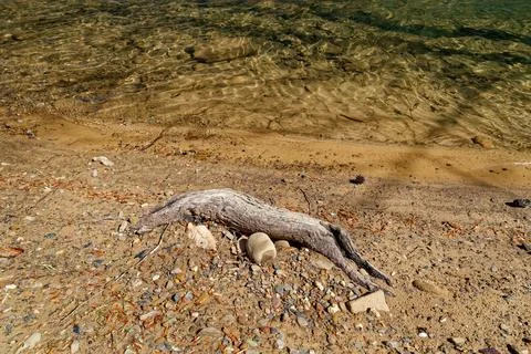 Beach riverbed along the river Stock Photos